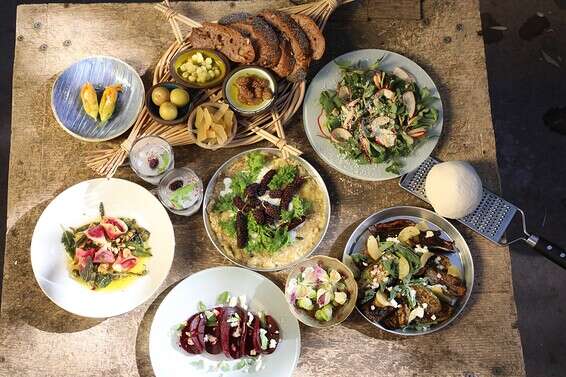 נורית הרץ ביקב נבו // צילום אלדד מאסטרו 